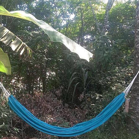 Casinha Acolhedora Da Mata - Rota Do Vinho Villa São Roque Eksteriør billede