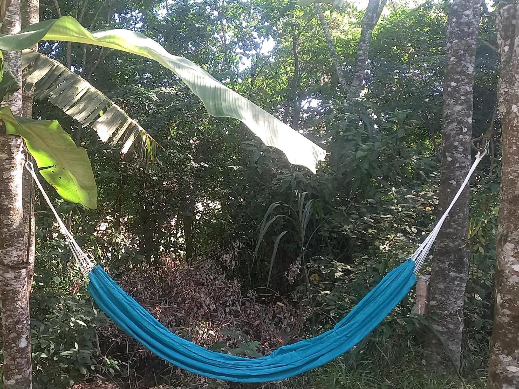 Casinha Acolhedora Da Mata - Rota Do Vinho Villa São Roque Eksteriør billede